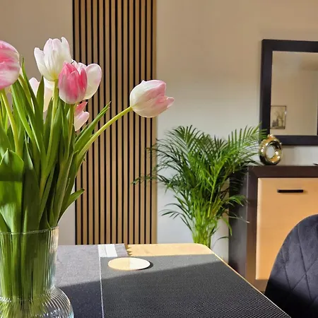 Apartman Gold Blisko Wawelu