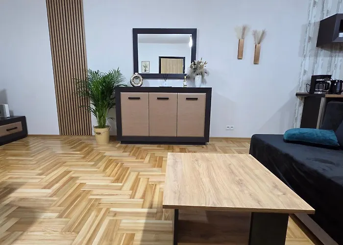 Gold Blisko Wawelu Z Darmowym Parkingiem * كراكوفيا