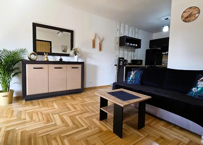 شقة Gold Blisko Wawelu Z Darmowym Parkingiem كراكوفيا