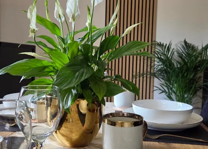 Gold Blisko Wawelu Z Darmowym Parkingiem *