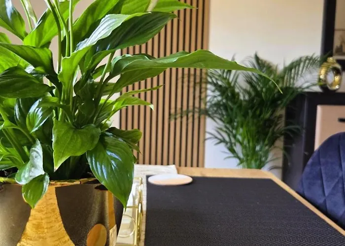 Gold Blisko Wawelu Z Darmowym Parkingiem كراكوفيا