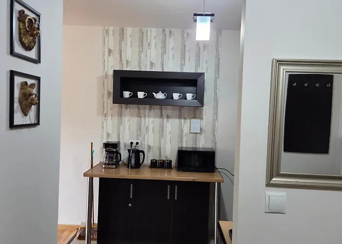 Gold Blisko Wawelu Z Darmowym Parkingiem شقة كراكوفيا